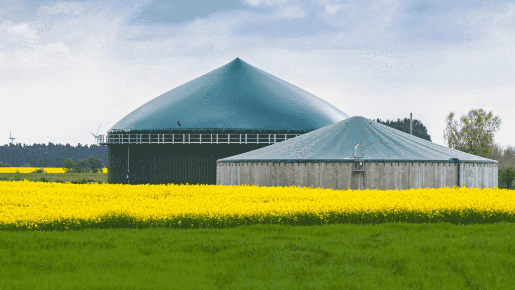 Kapitalanlage Biogasanlage - Förderung & Finanzierung - Agramanagement Francksen